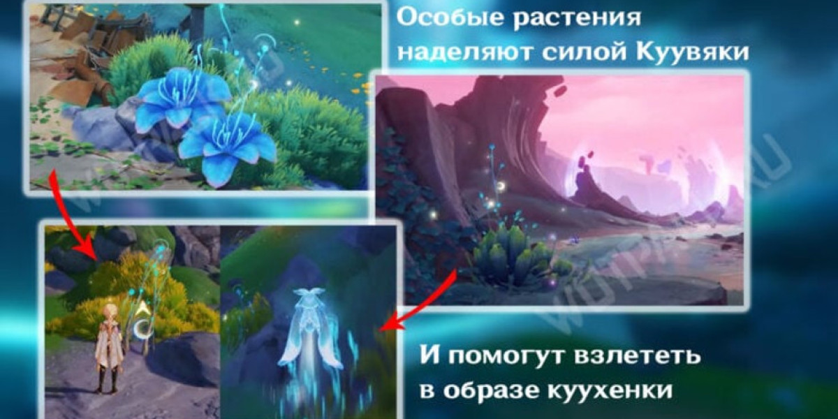 Article Picture